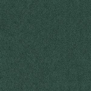 8204_11_additional image_new.jpg image